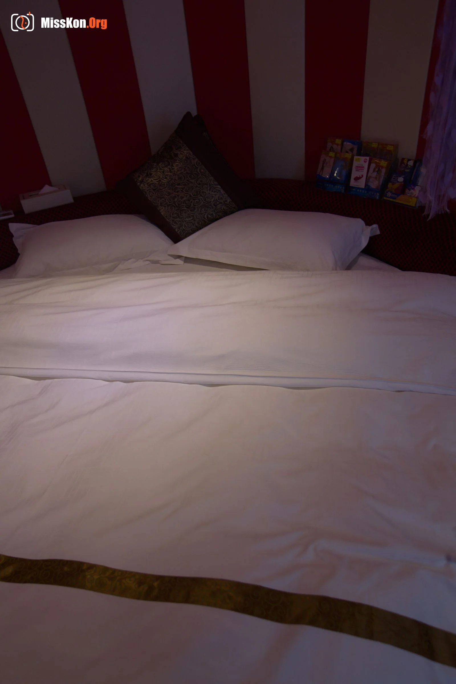 National model An Lan large-scale human body private photo set An Lan (2015-01-29) - Photo 4