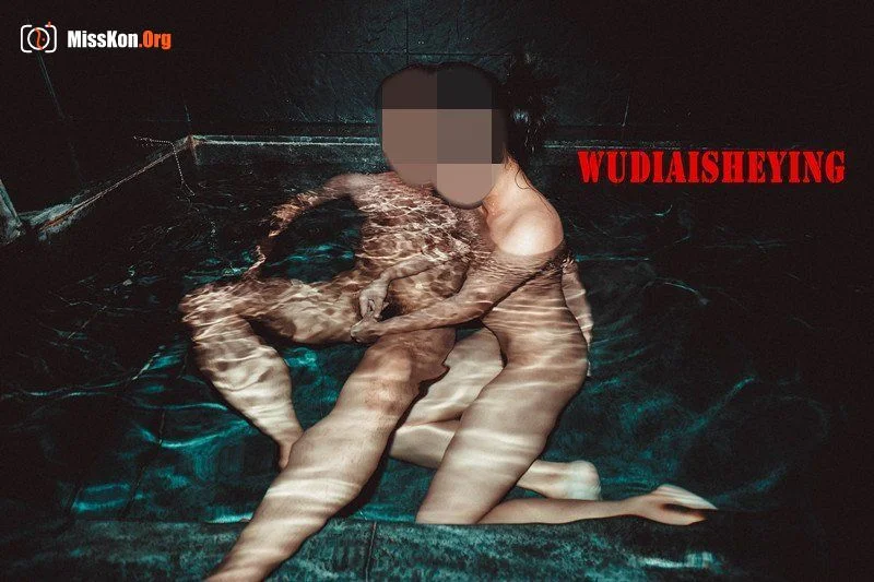 网络收集：无敌爱摄影（WUDIAISHEYING）性爱作品大集合 - 照片 13