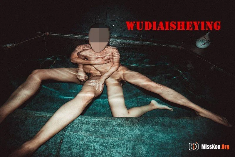 网络收集：无敌爱摄影（WUDIAISHEYING）性爱作品大集合 - 照片 14