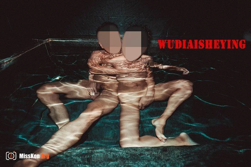 网络收集：无敌爱摄影（WUDIAISHEYING）性爱作品大集合 - 照片 15