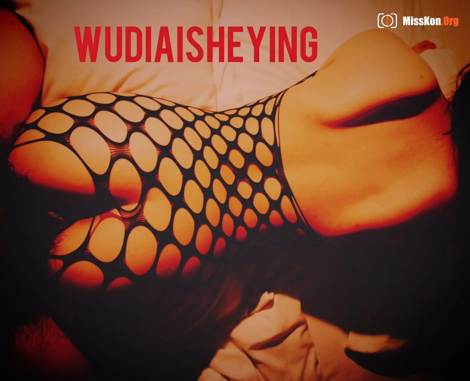 网络收集：无敌爱摄影（WUDIAISHEYING）性爱作品大集合 - 照片 8