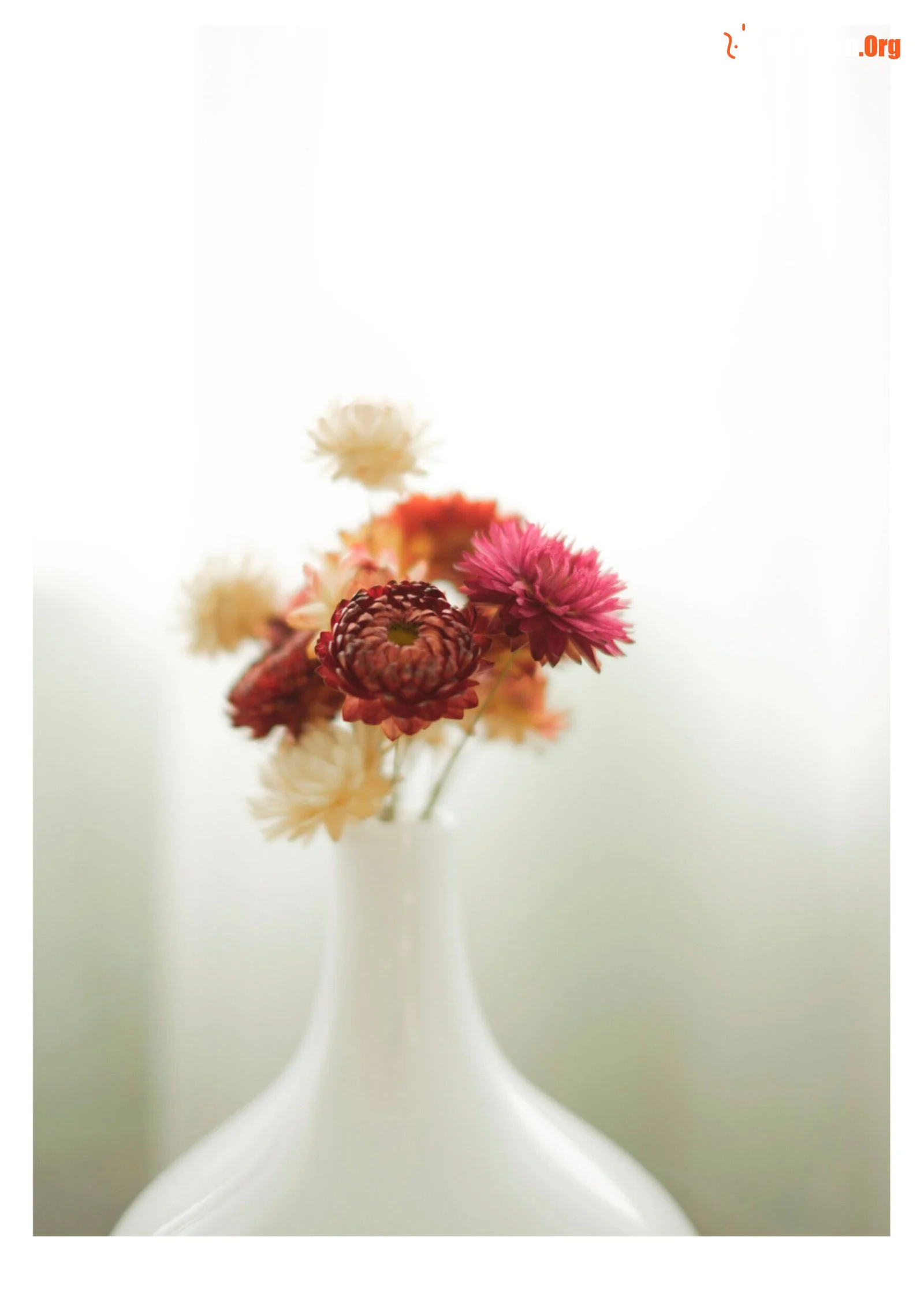 New Vegetables: Taken - Photo 14