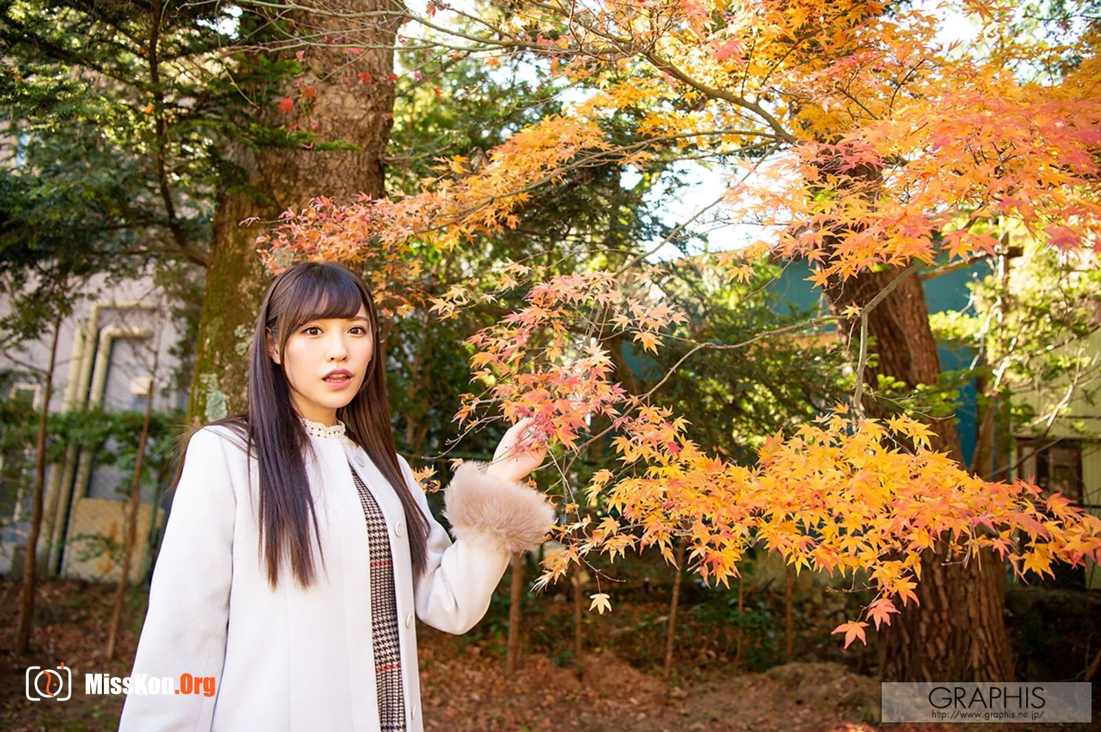 New Vegetables (Vol. 2018.06) - Photo 10