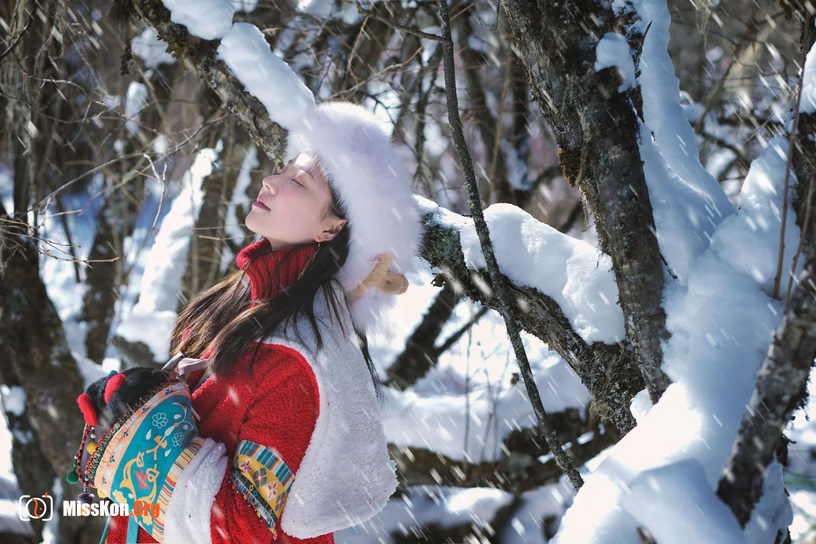 年年《吉祥雪兆丰年》（2023-01-01） - 照片 8