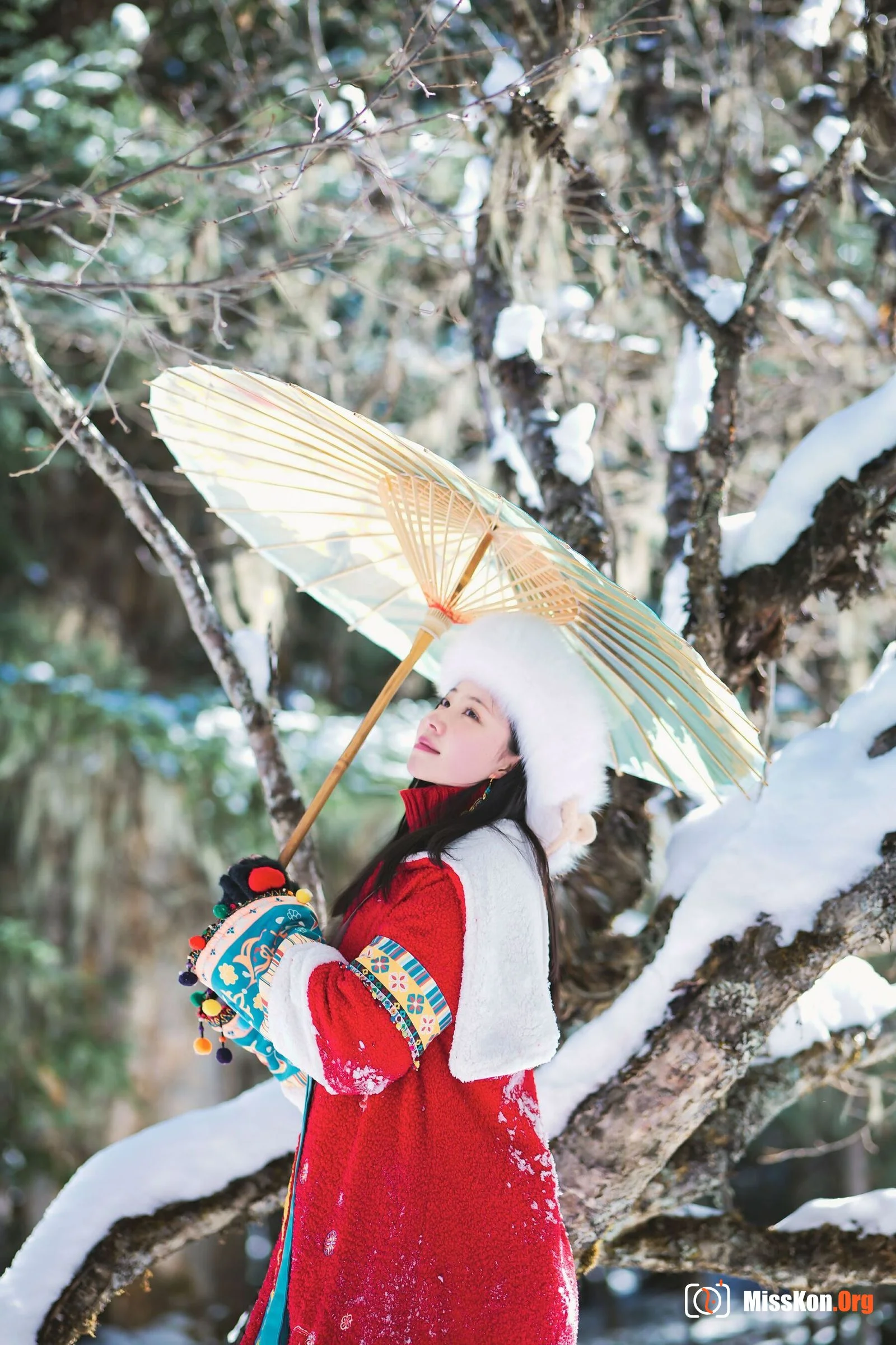 年年《吉祥雪兆丰年》（2023-01-01） - 照片 9
