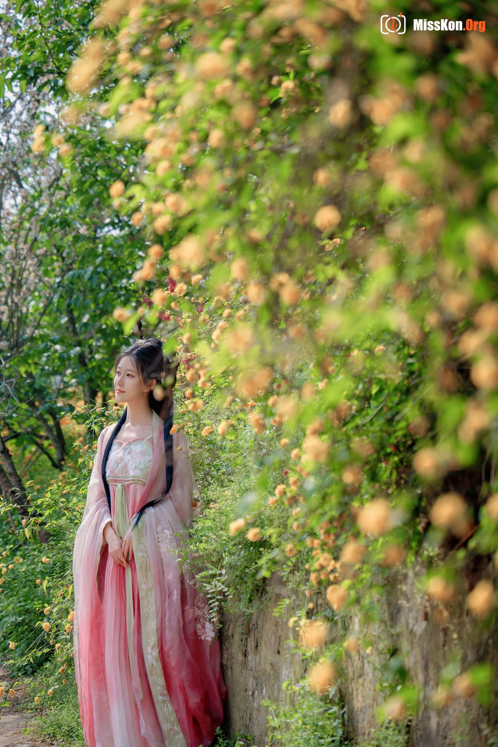 Nian Nian: Begonia - Photo 15