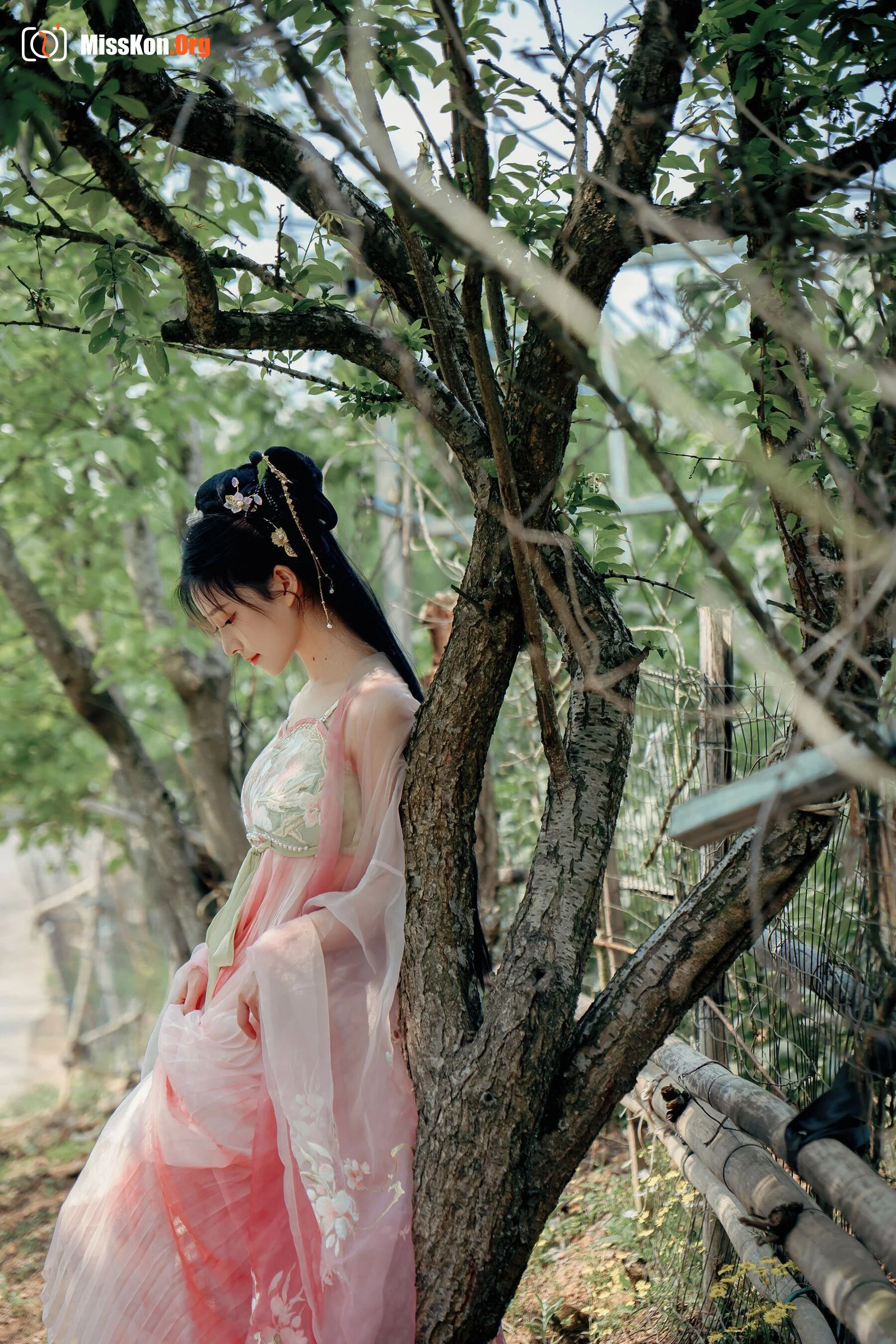 Nian Nian: Begonia - Photo 17