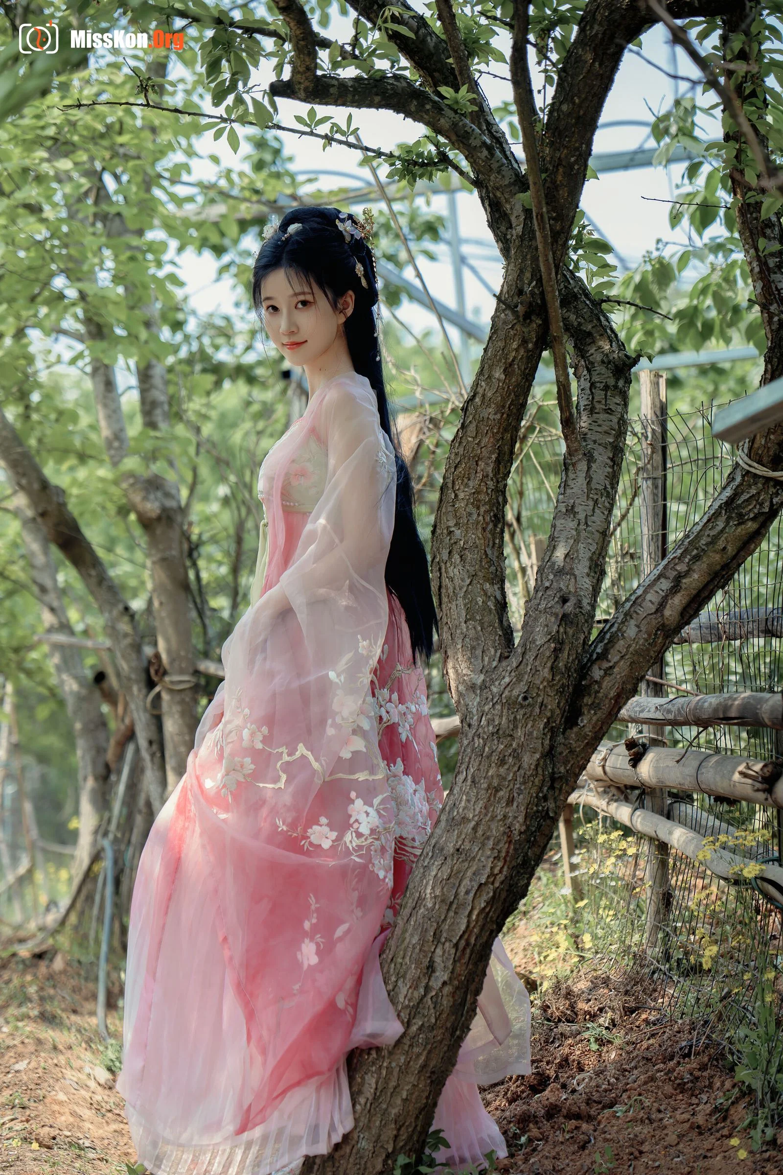 Nian Nian: Begonia - Photo 18