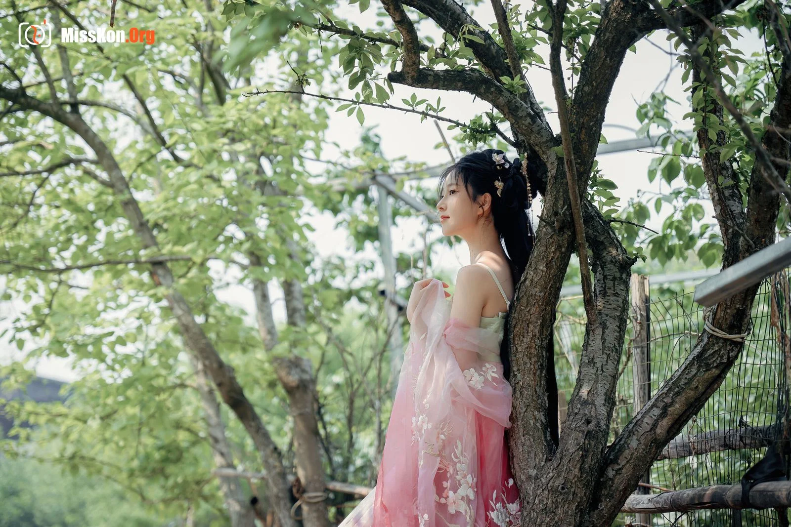 Nian Nian: Begonia - Photo 19