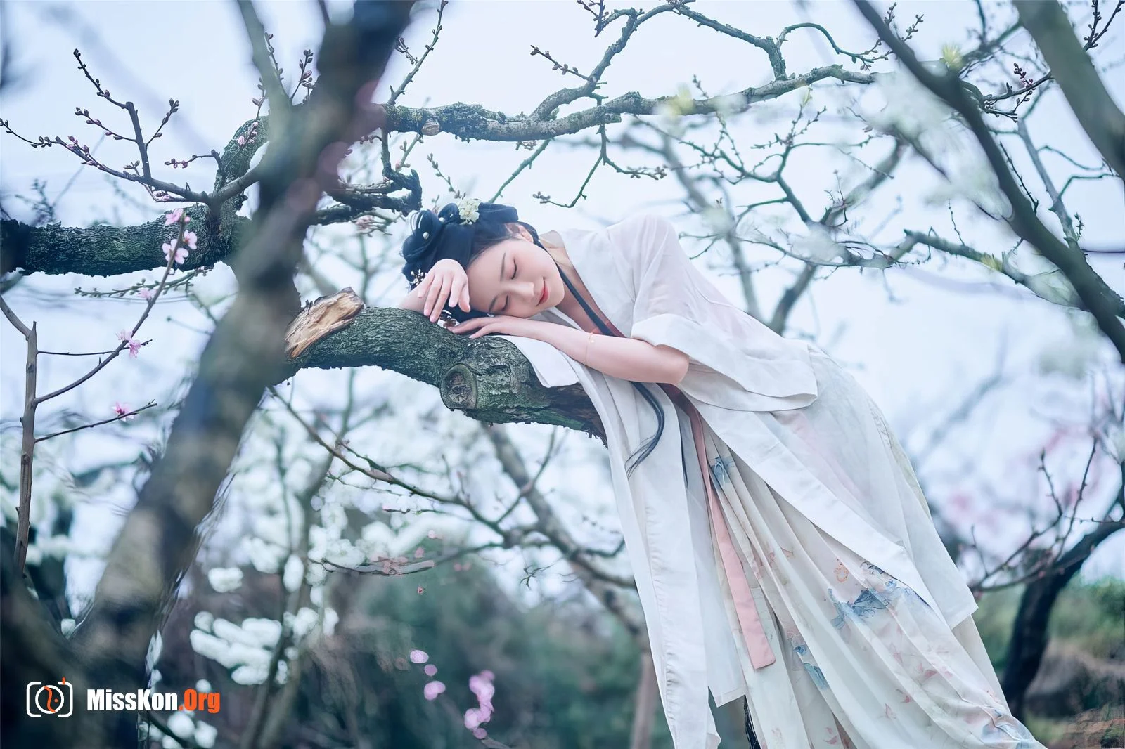 Nian Nian: March banyan tree - Photo 14