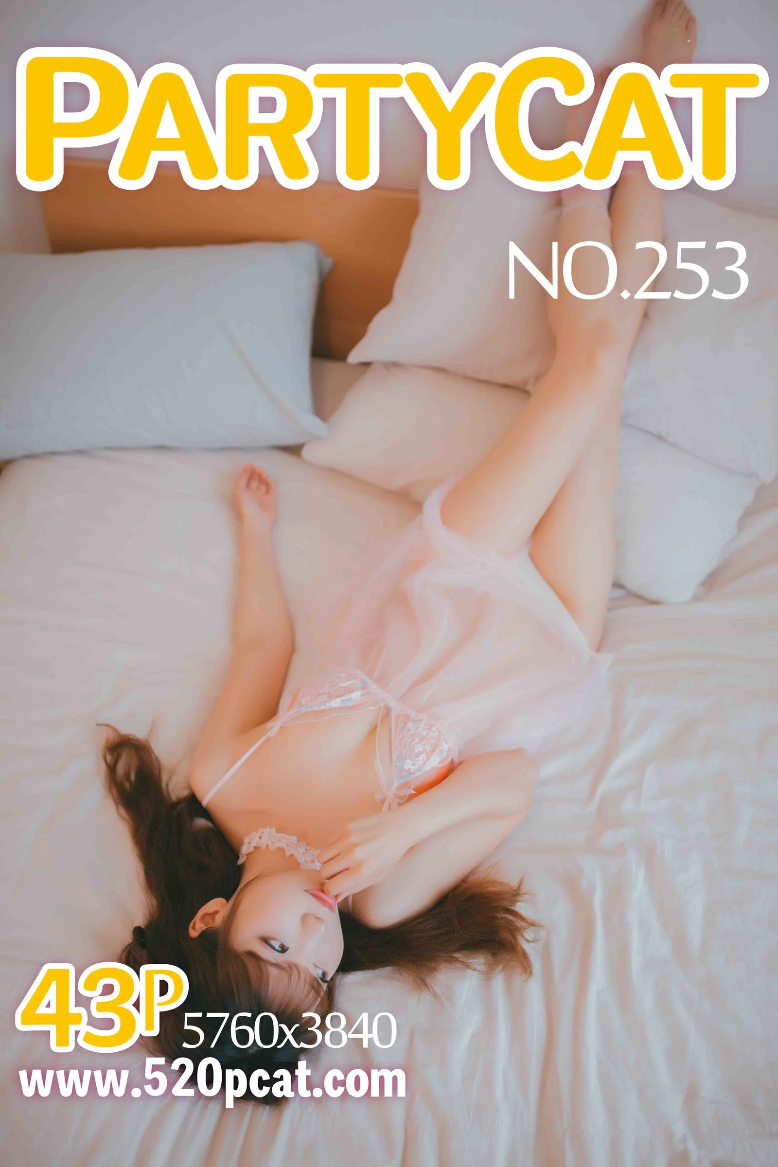 NO.253