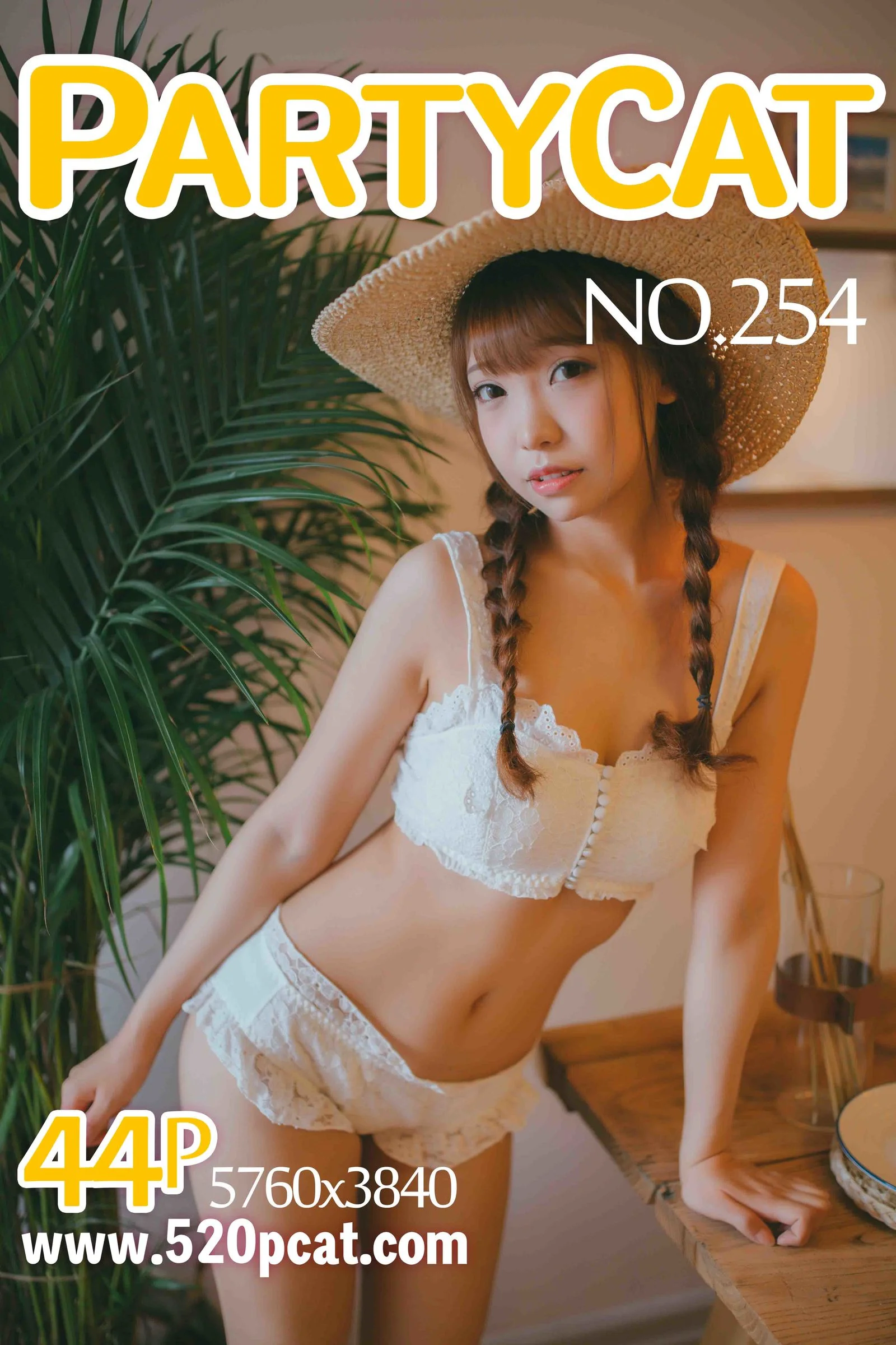NO.254