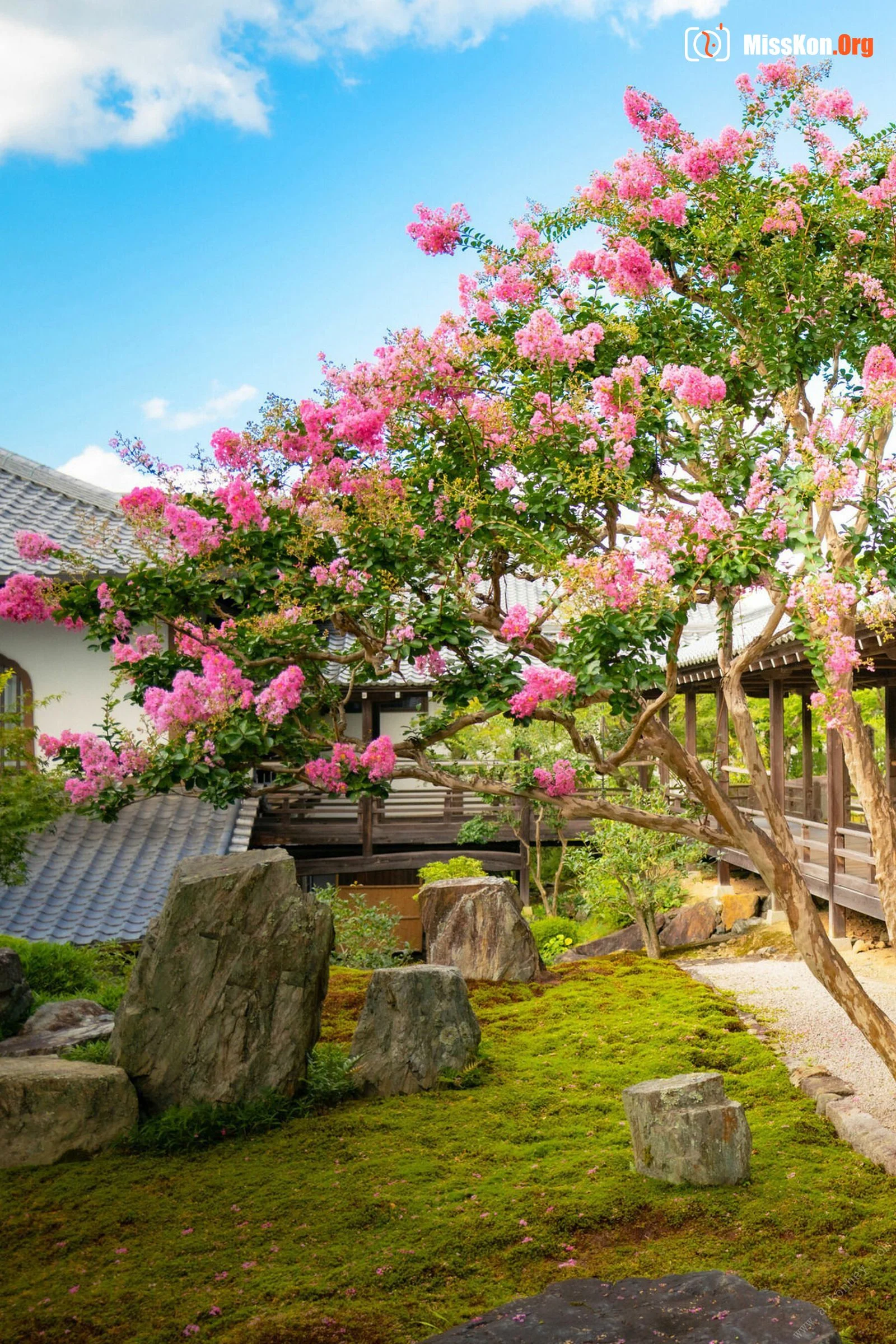 NON IN KYOTO - Photo 3