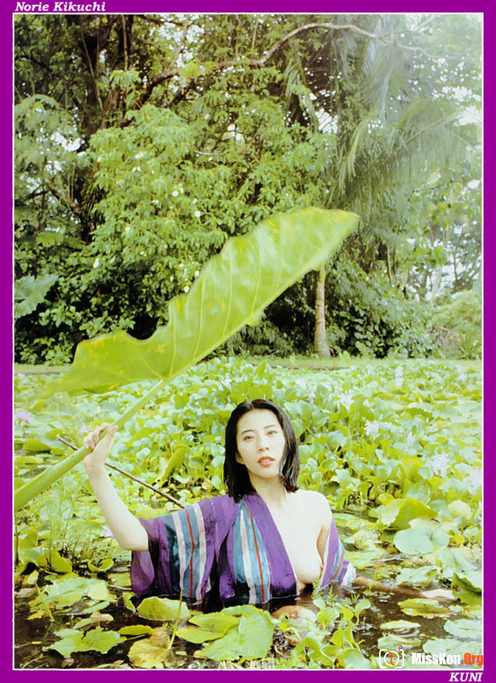 Norie Kikuchi - Photo 15