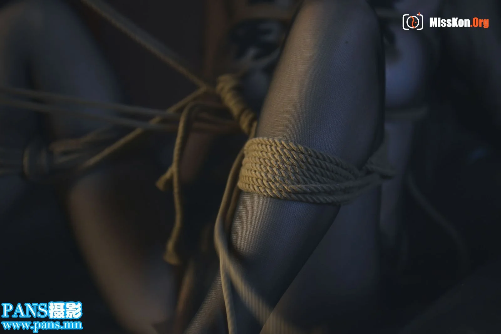 Nuan Nuan (Rope Art 002) - Photo 8
