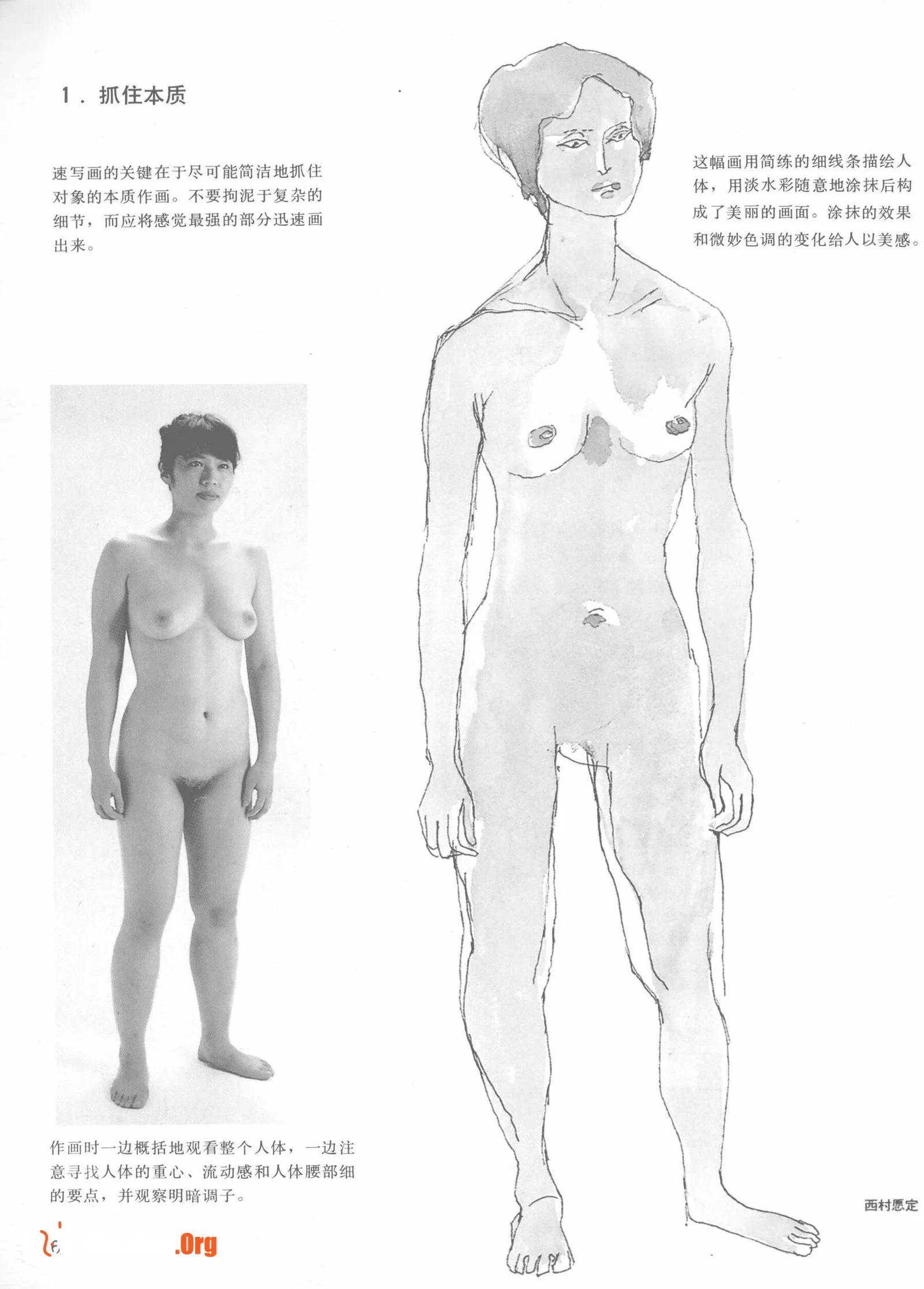 Nude female body sketching techniques (Anhui Fine Arts Publishing House) - Photo 10
