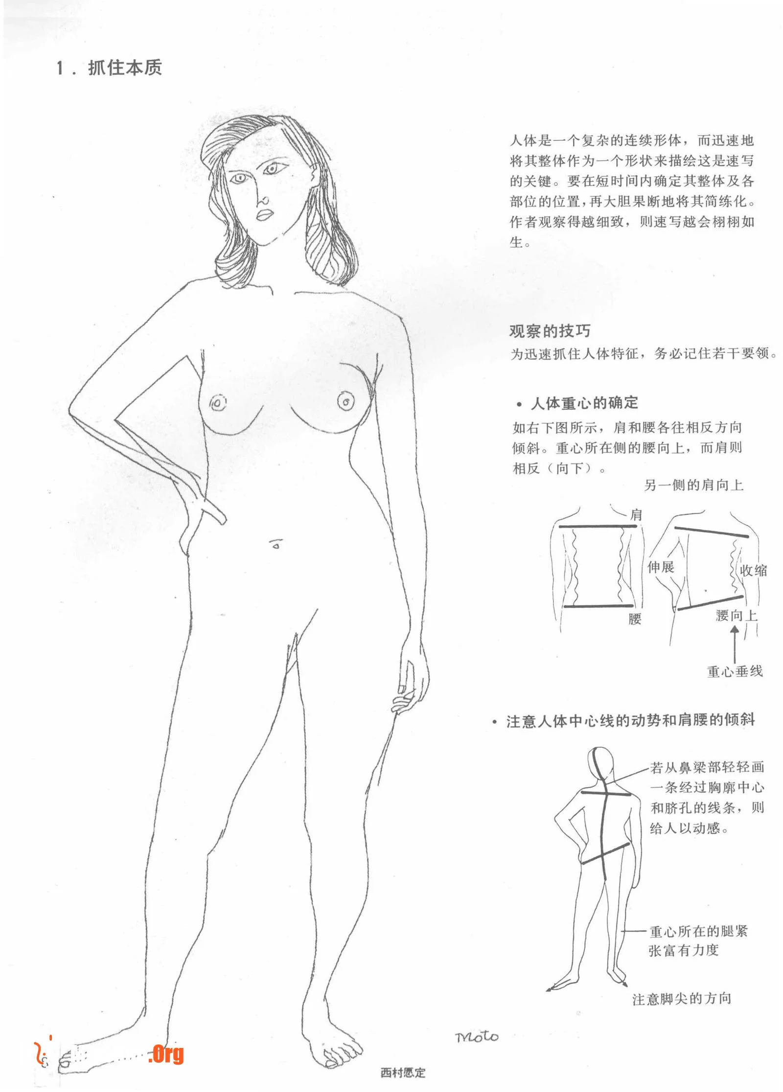 Nude female body sketching techniques (Anhui Fine Arts Publishing House) - Photo 12