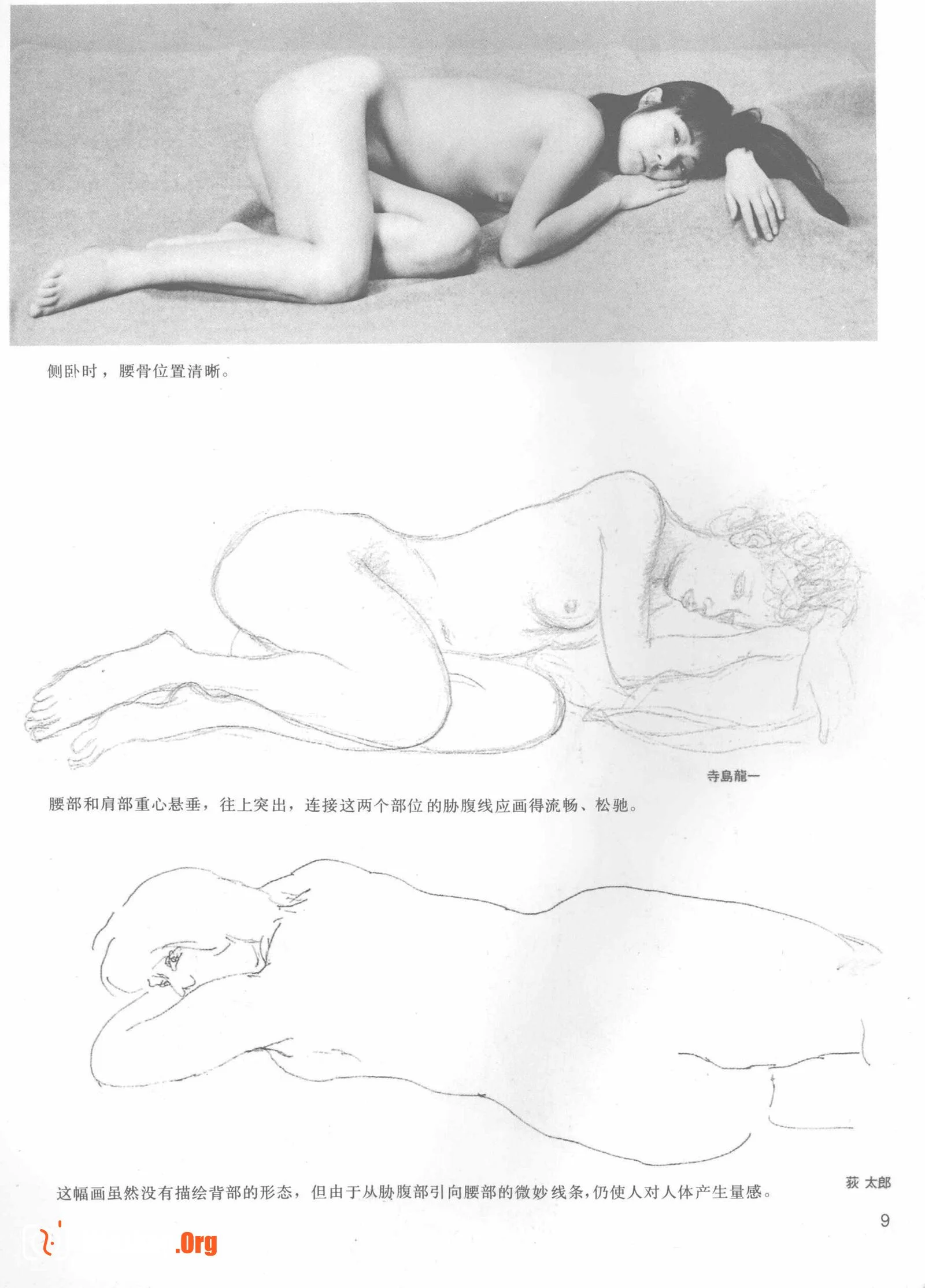 Nude female body sketching techniques (Anhui Fine Arts Publishing House) - Photo 13