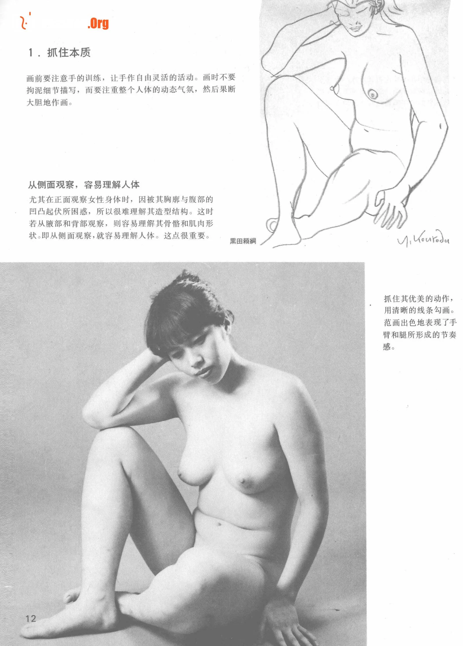 Nude female body sketching techniques (Anhui Fine Arts Publishing House) - Photo 16