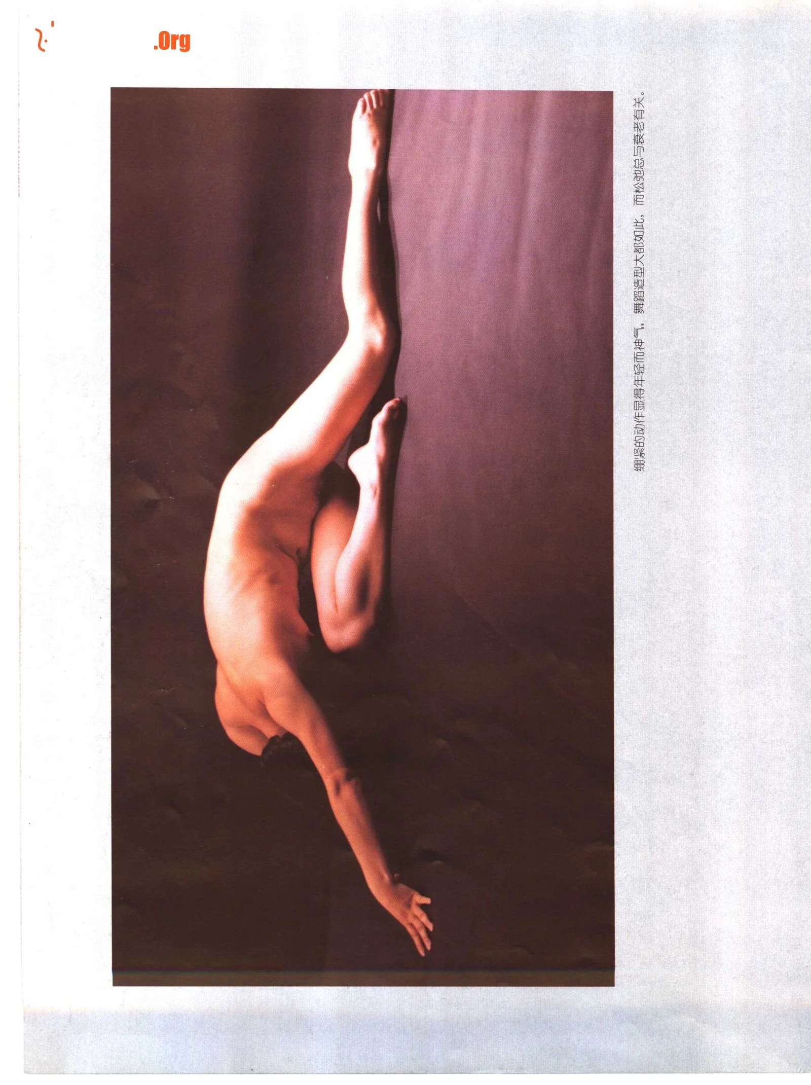 Nude Model Photography (Jiangxi Fine Arts Publishing House) - Photo 19