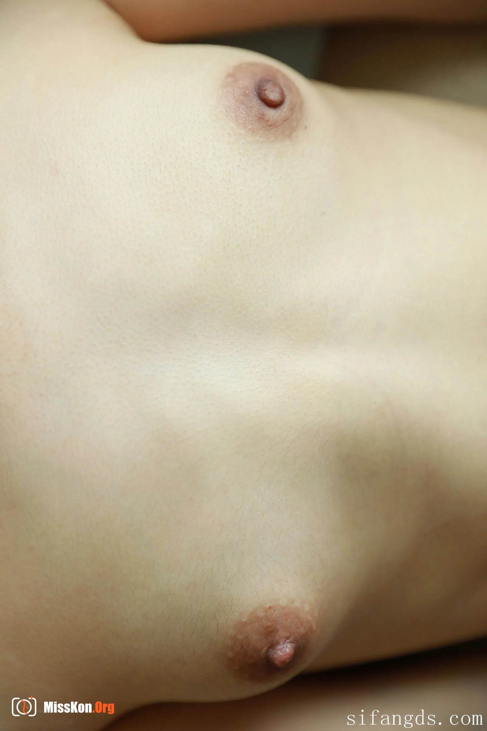Nude photo set of Chinese model: Linlin - Photo 20