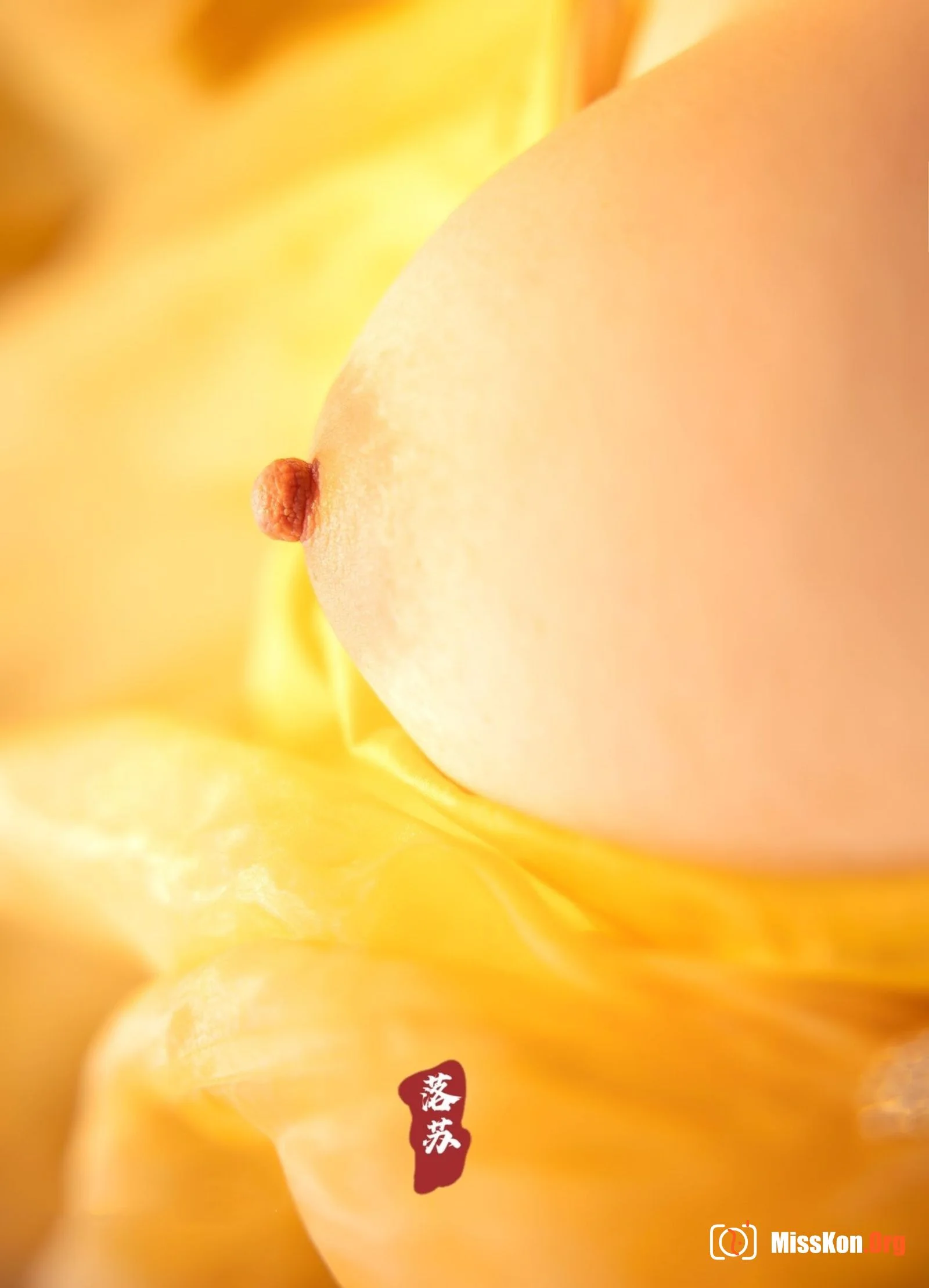 Nude photo set of Chinese model: Luosu - Photo 12