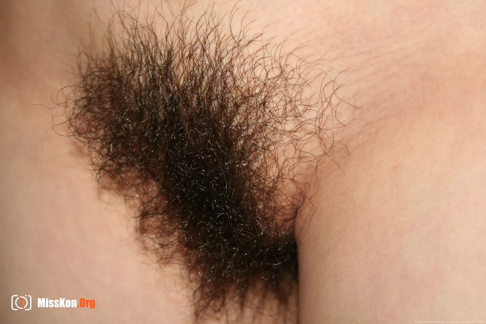 Nude photo set of Chinese model: Sisi (2008-01-08) - Photo 11