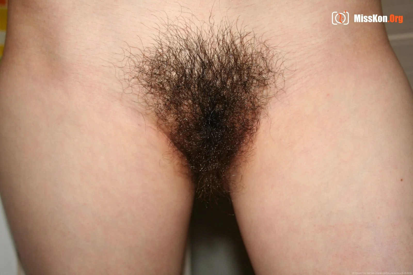 Nude photo set of Chinese model: Sisi (2008-01-08) - Photo 12