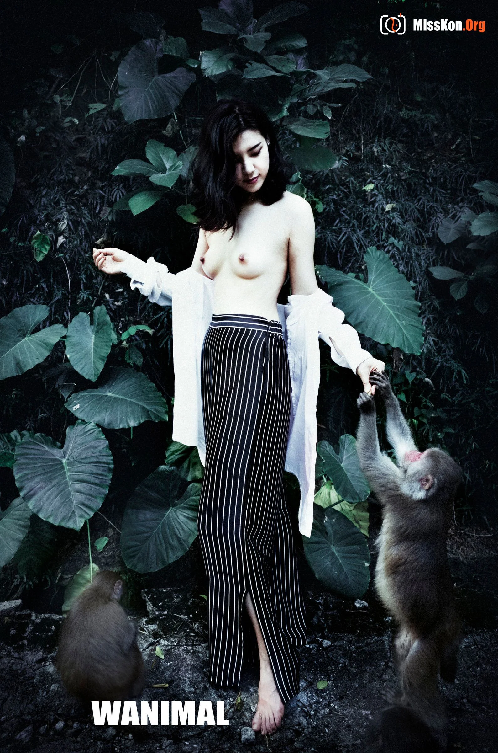 Officially Produced VIP Package (Issue 20) - Photo 5