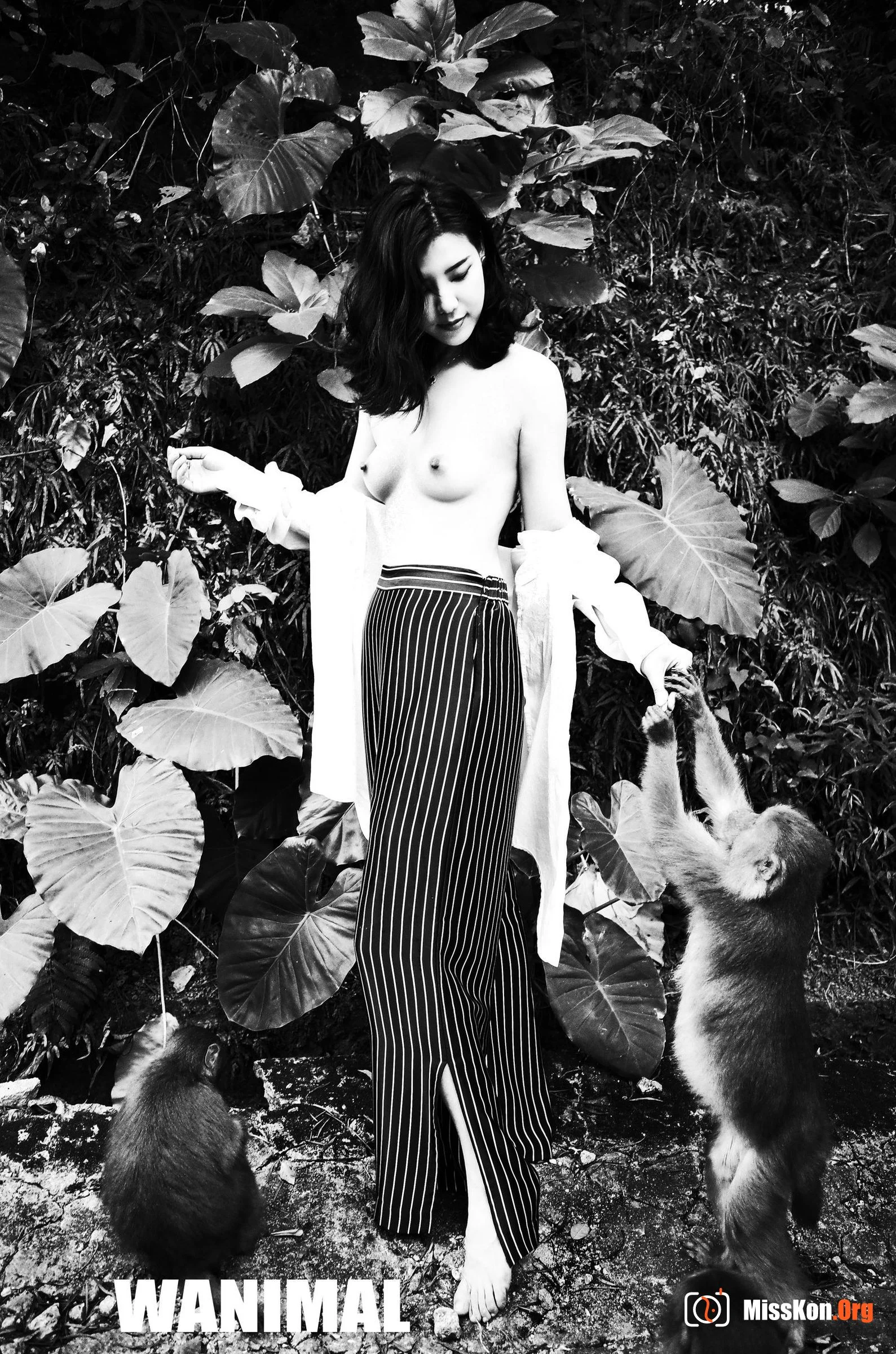 Officially Produced VIP Package (Issue 20) - Photo 7