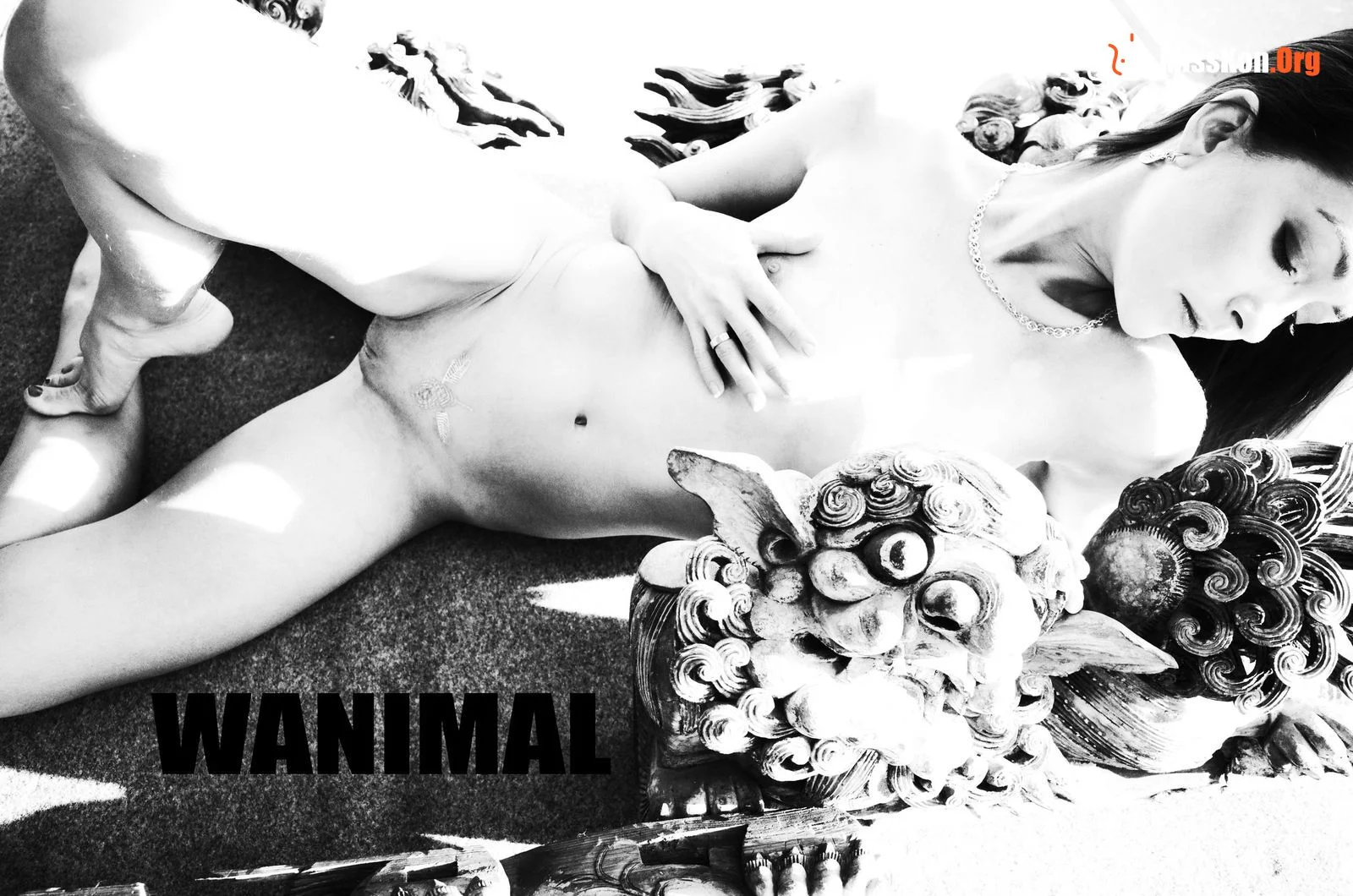 Officially Produced VIP Package (Issue 21) - Photo 35