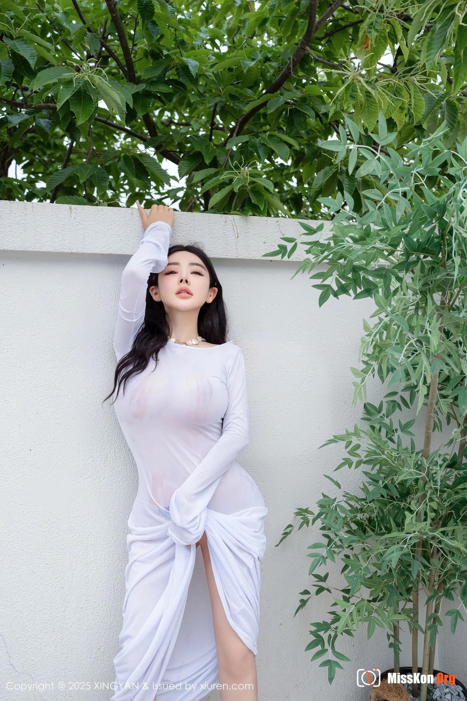 Pan Siqin - Photo 12