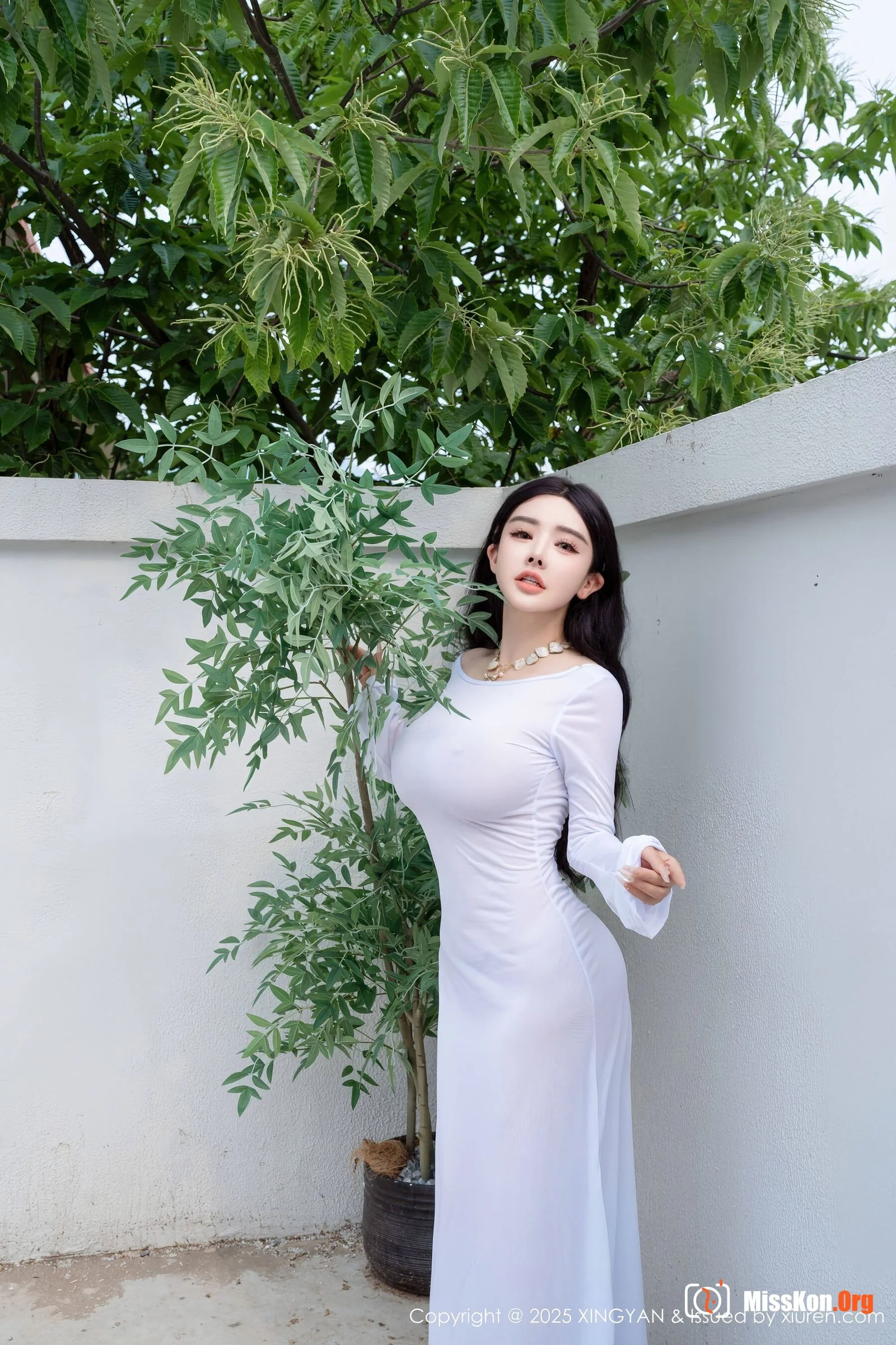Pan Siqin - Photo 3