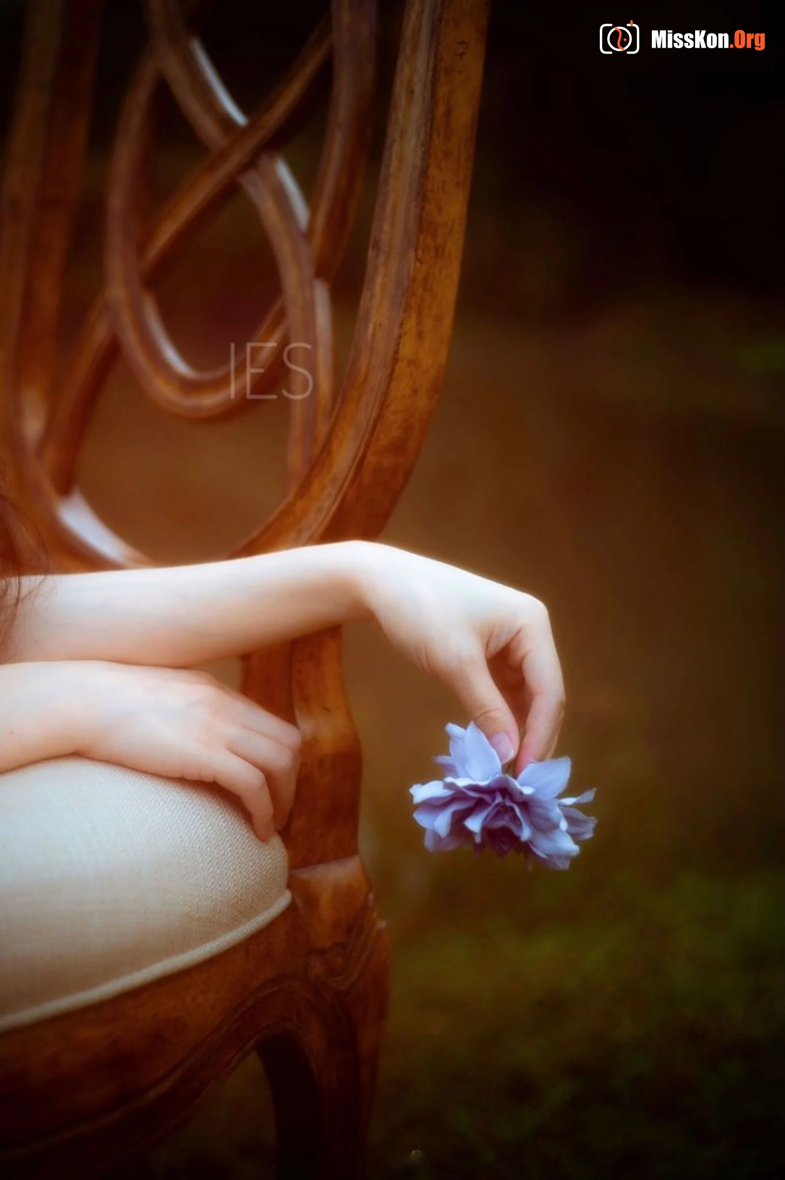 Photographer IES Works: Twitter collection - Photo 17