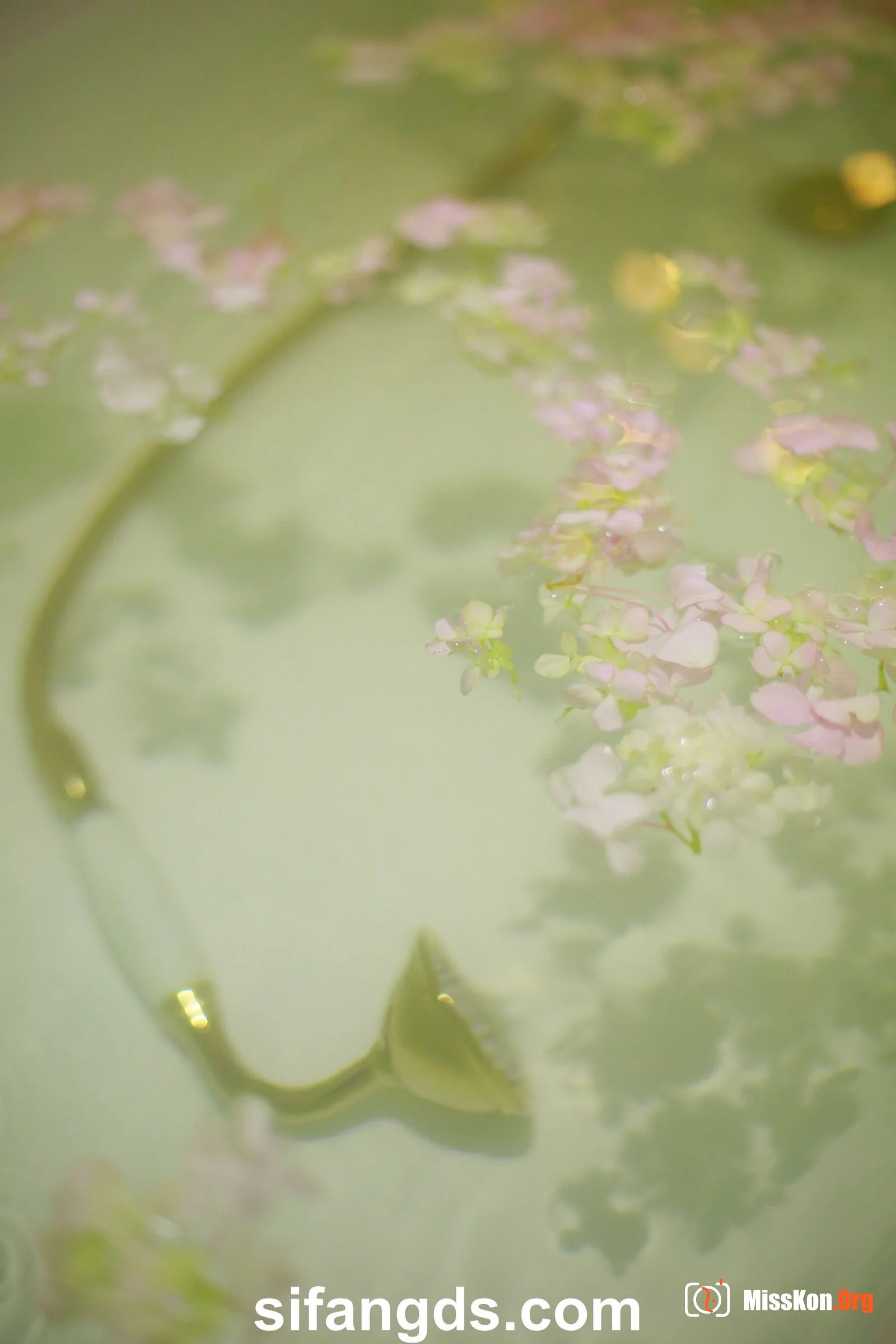摄影师流出素人私房照（陈晗在青芝坞私房） - 照片 20