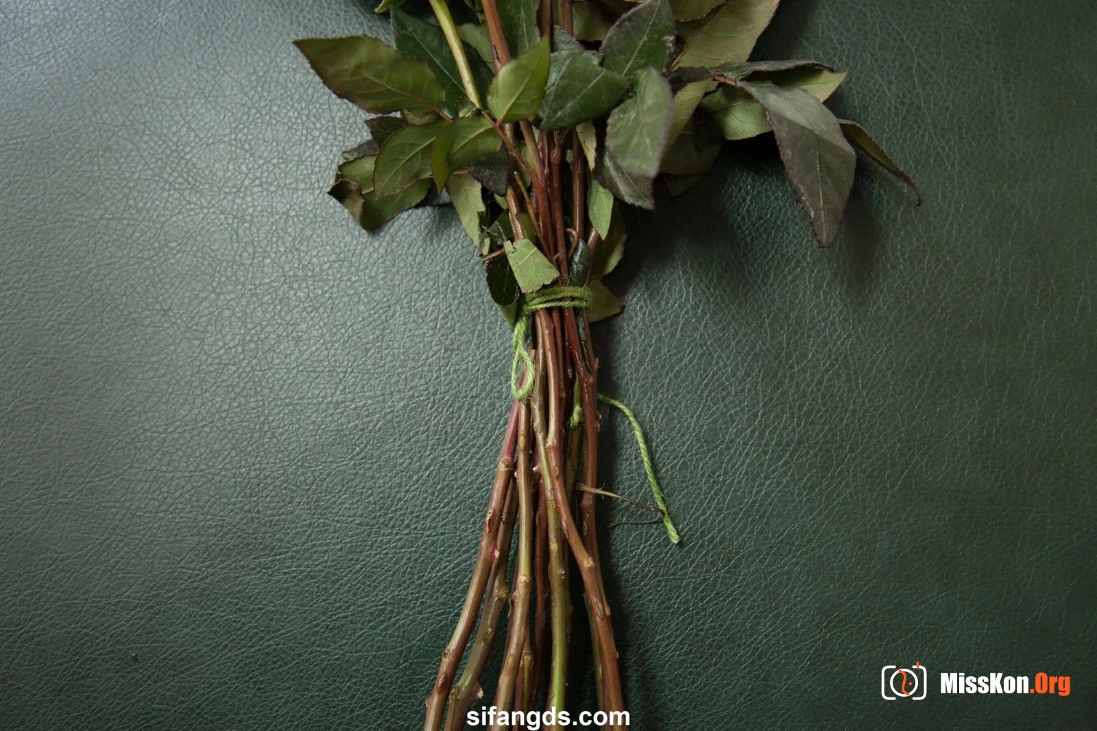 摄影师流出素人私房照（陈小杰摄影工作室） - 照片 10