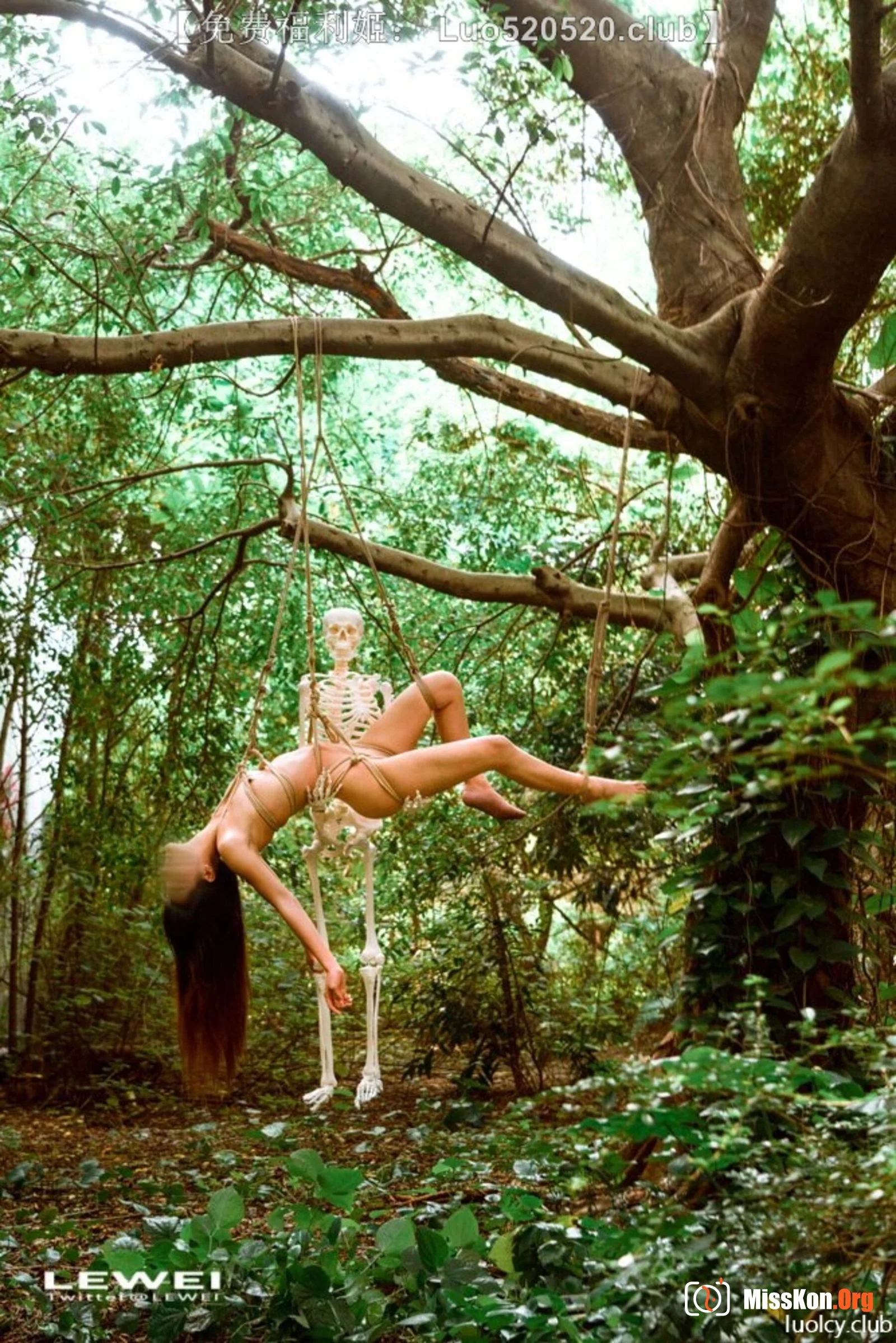 Photographer LEIWEI's Works Collection - Photo 11