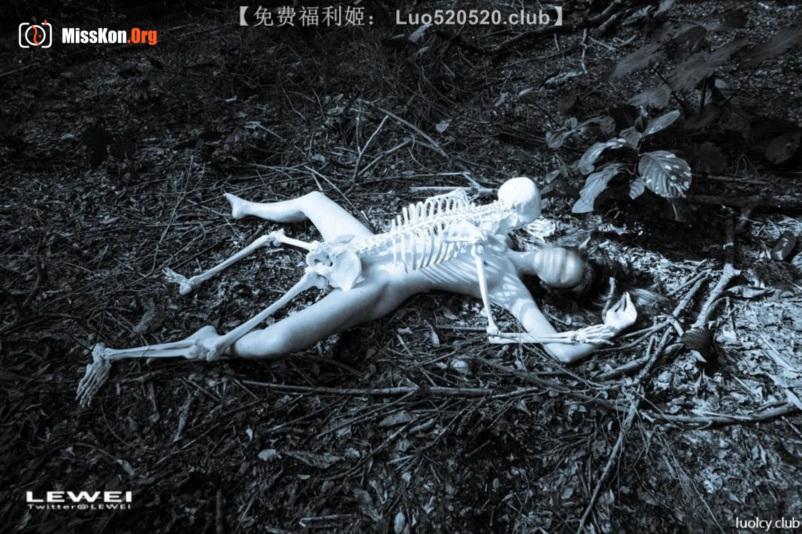Photographer LEIWEI's Works Collection - Photo 14