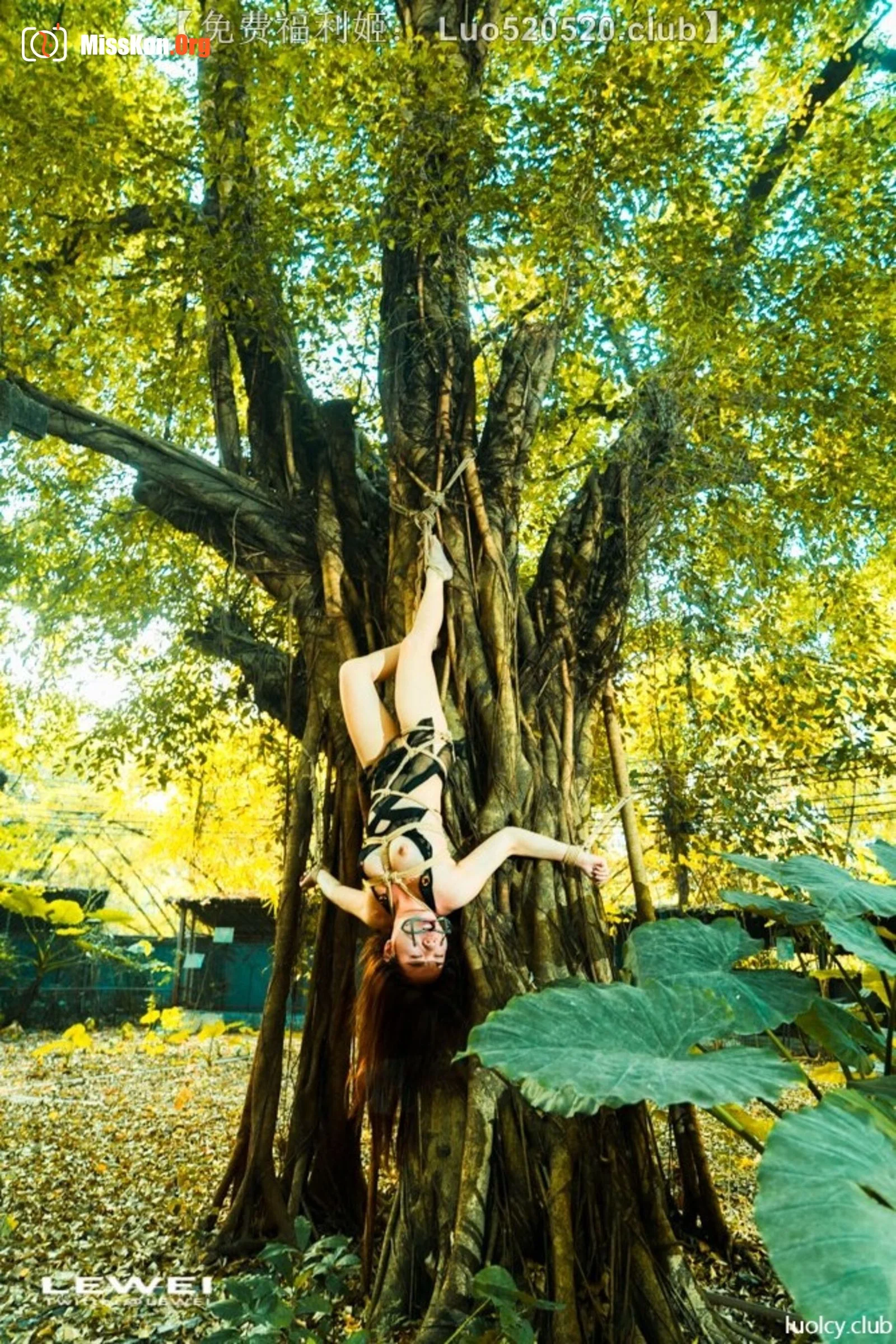 Photographer LEIWEI's Works Collection - Photo 15