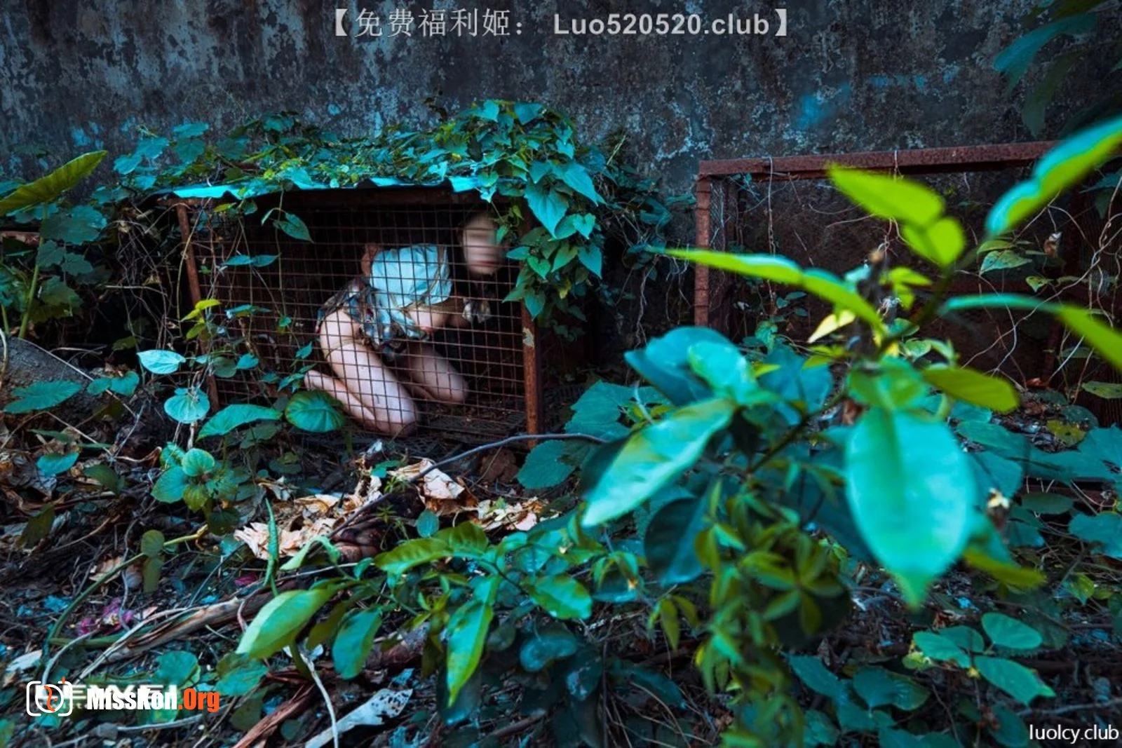Photographer LEIWEI's Works Collection - Photo 4