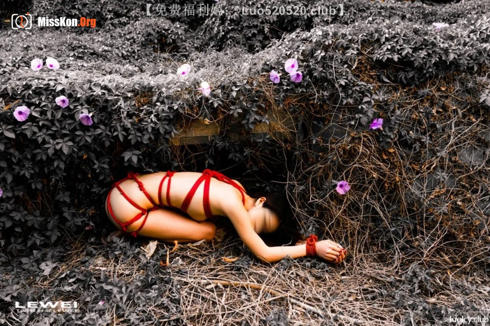 Photographer LEIWEI's Works Collection - Photo 5