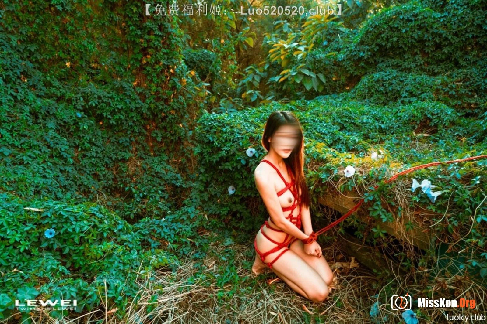 Photographer LEIWEI's Works Collection - Photo 7