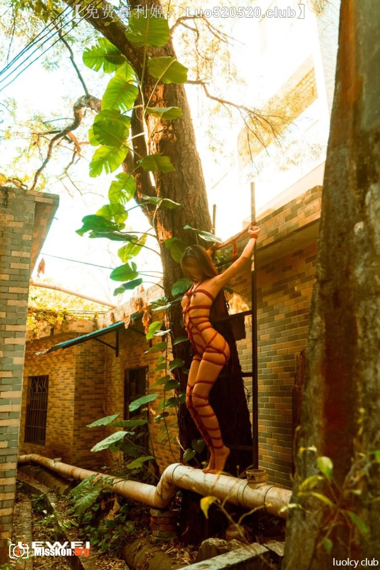 Photographer LEIWEI's Works Collection - Photo 9
