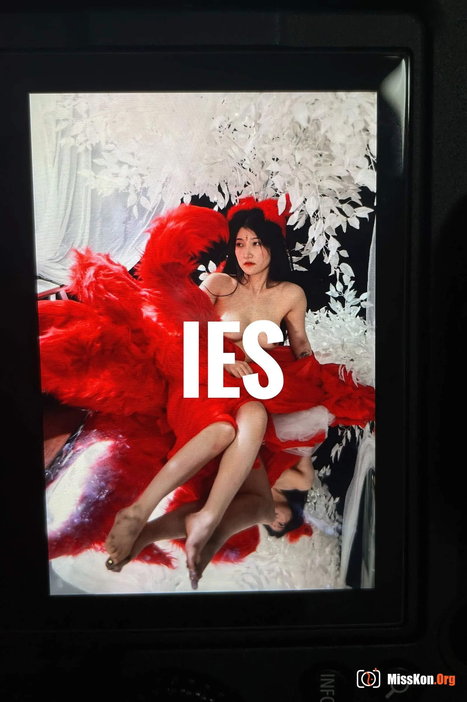Photographer Qingchi's Portfolio Vol.003 - Photo 14