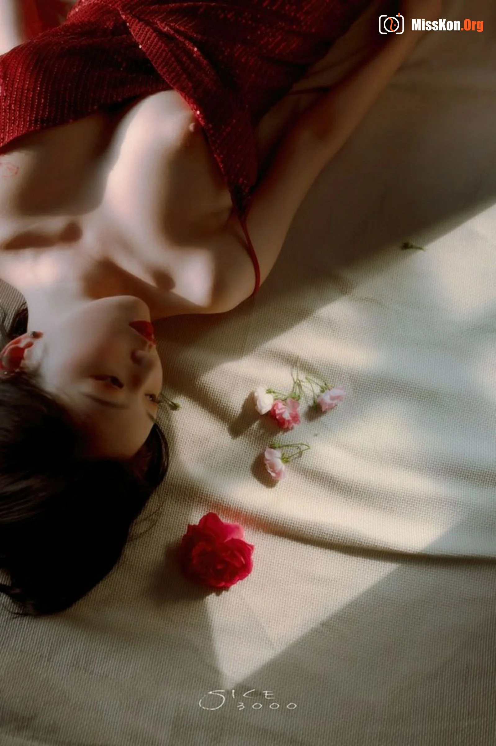 Photographer Qingchi's Portfolio Vol.014 - Photo 19
