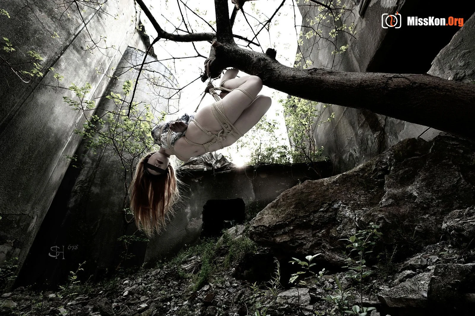 Photographer SH678's private works - Photo 20