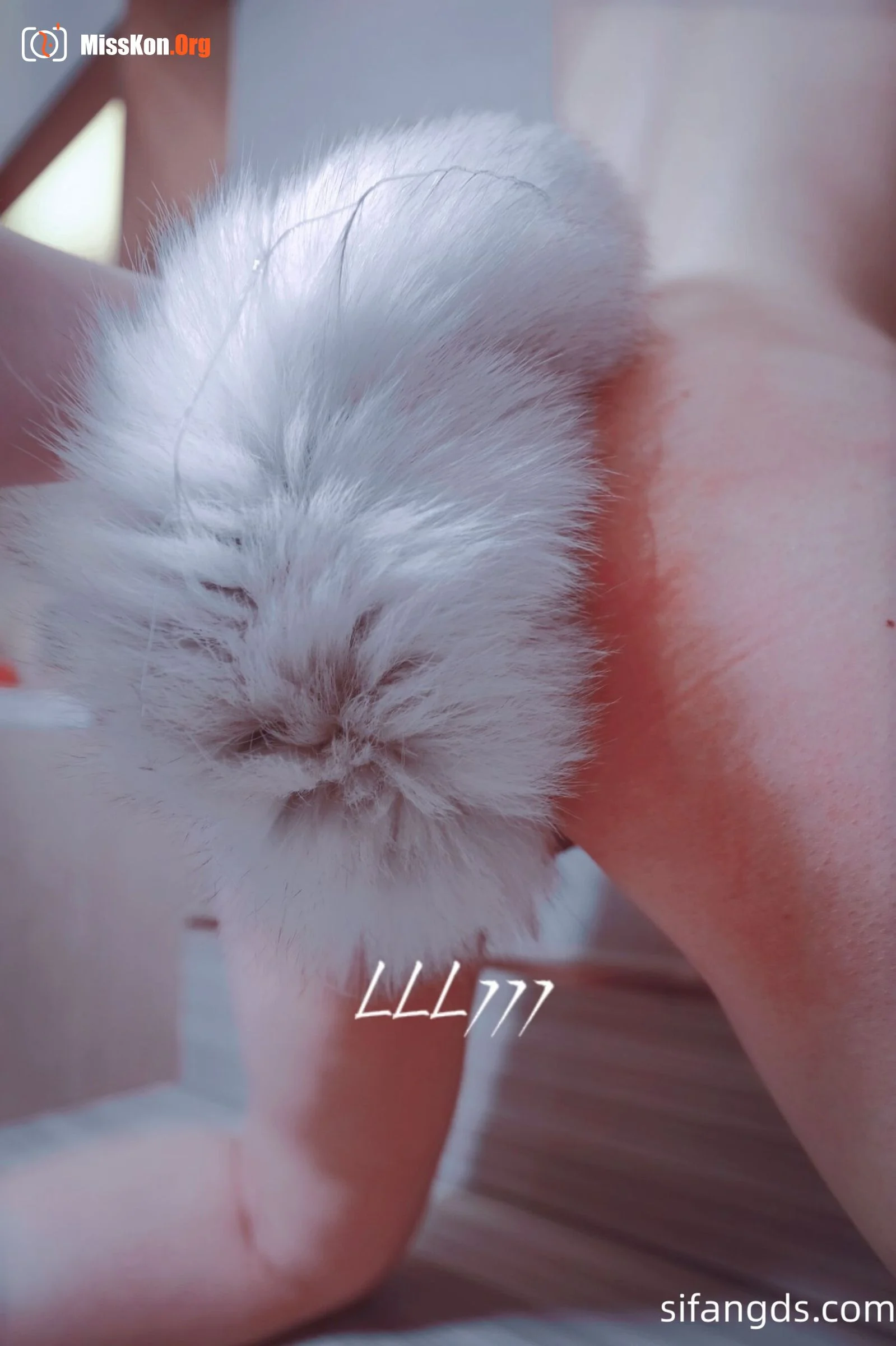 Photographer's Portfolio: Ah Qi (LazyLLL777) - Photo 15