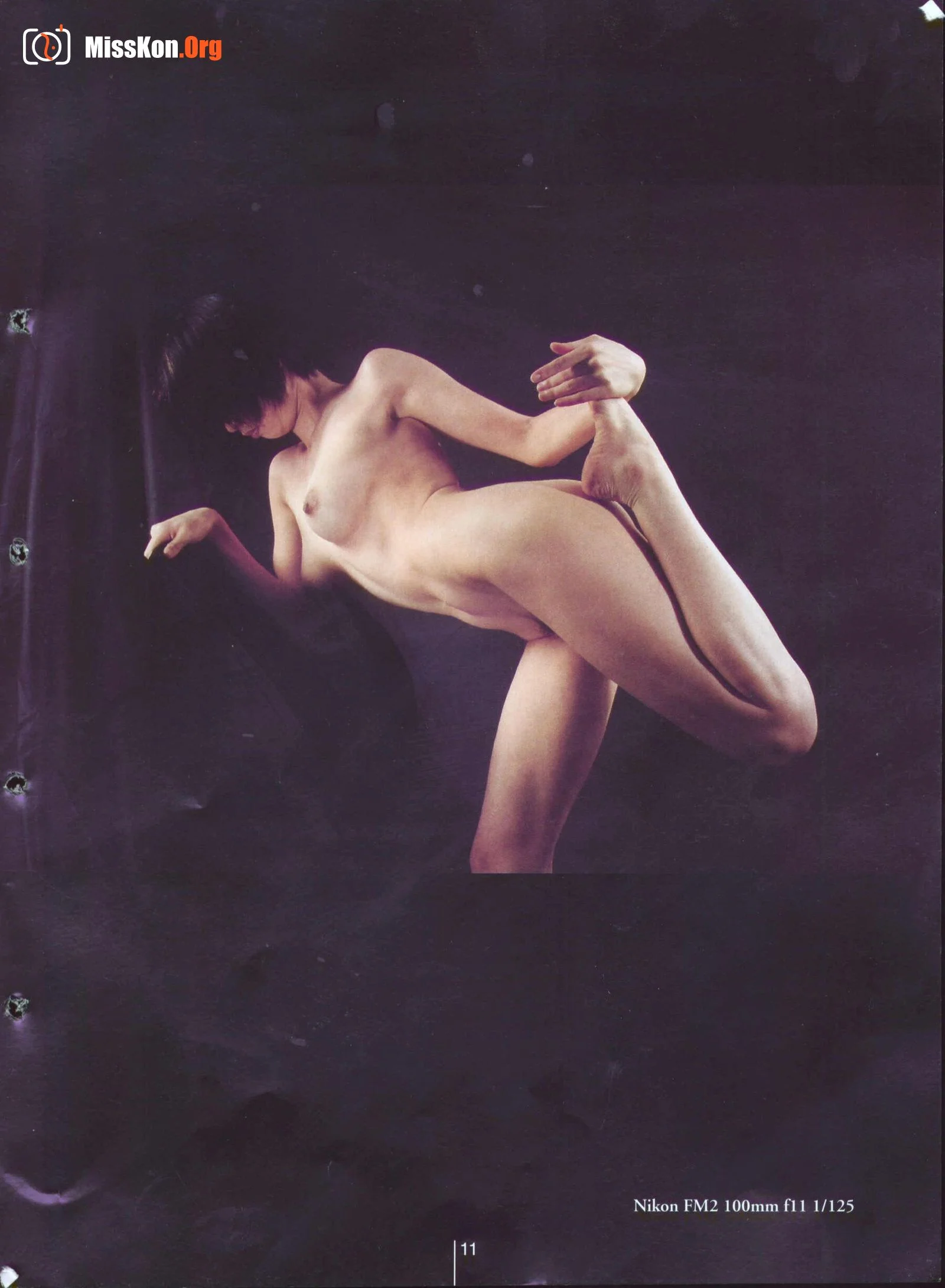 Plastic Arts - Photo 16