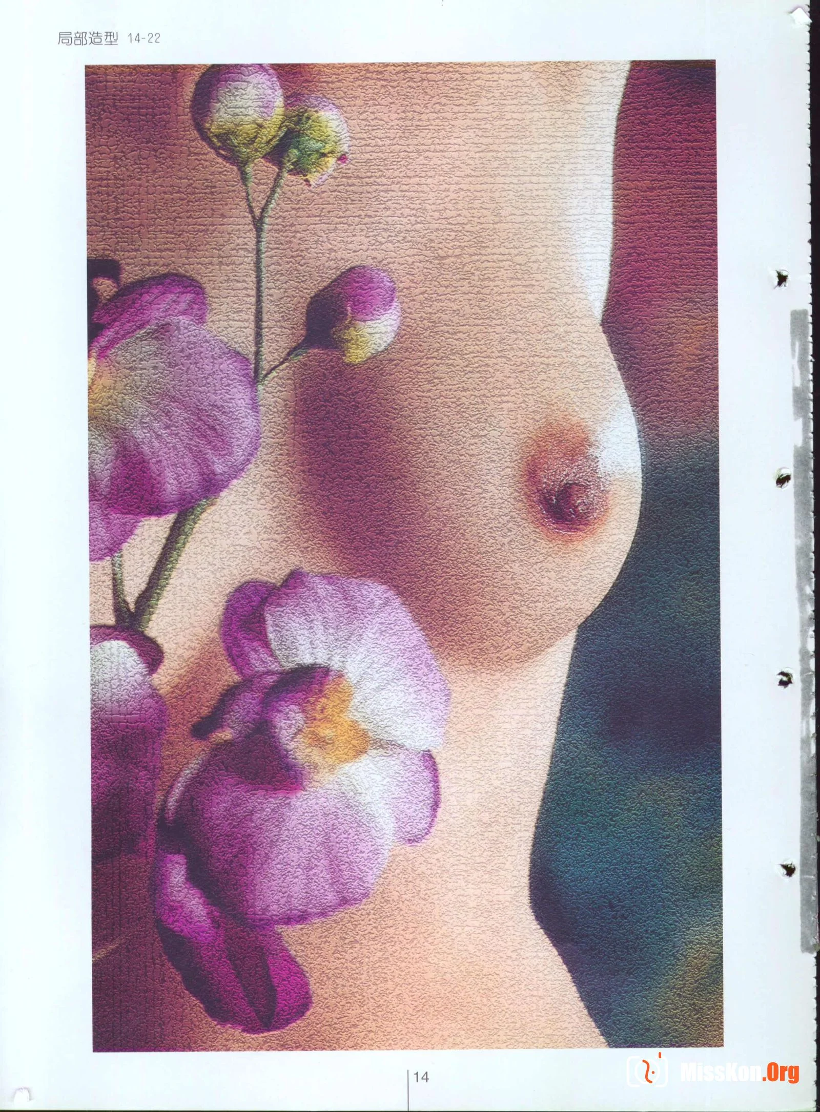 Plastic Arts - Photo 19