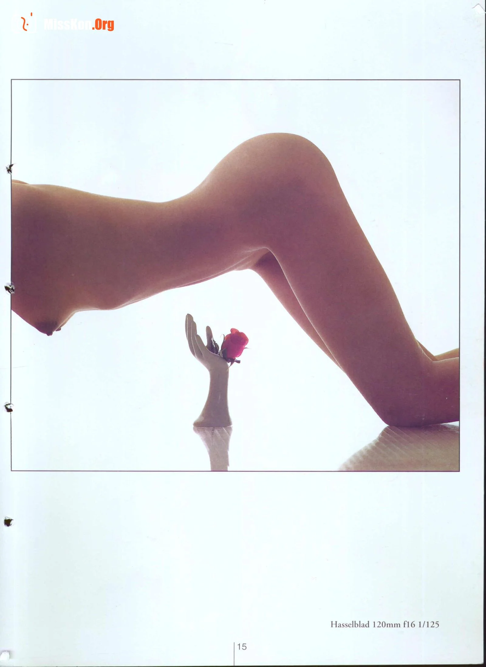 Plastic Arts - Photo 20